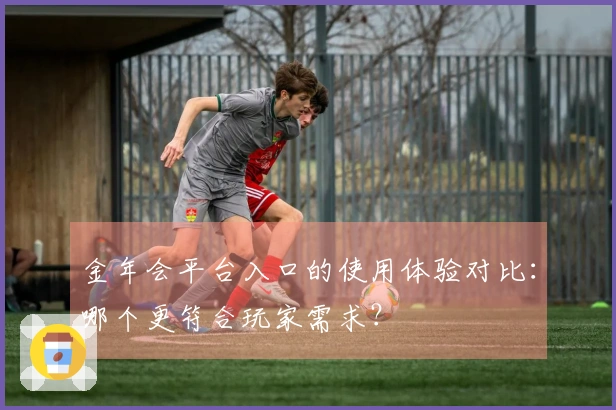金年会平台入口的使用体验对比：哪个更符合玩家需求？