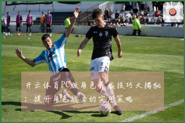 开云体育PC版角色养成技巧大揭秘：提升角色战力的实用策略