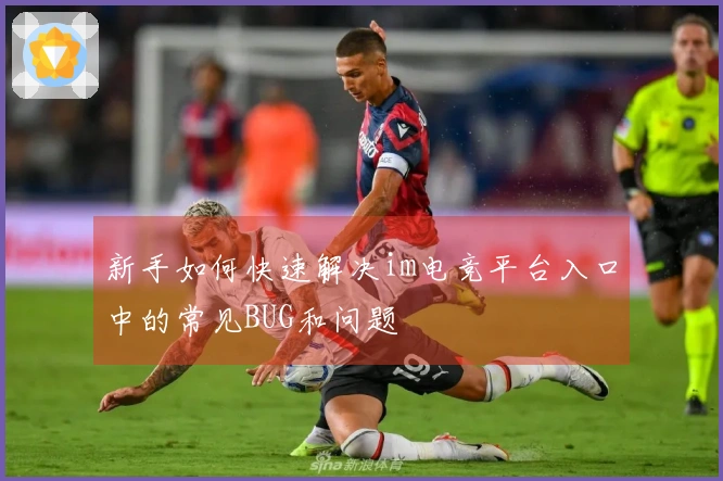 新手如何快速解决im电竞平台入口中的常见BUG和问题