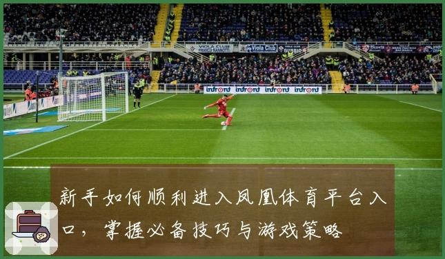 新手如何顺利进入凤凰体育平台入口，掌握必备技巧与游戏策略