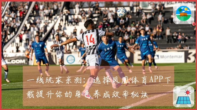 一线玩家亲测：选择凤凰体育APP下载提升你的角色养成效率秘诀