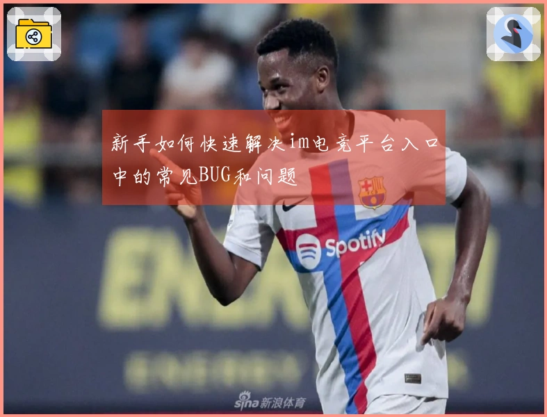 新手如何快速解决im电竞平台入口中的常见BUG和问题