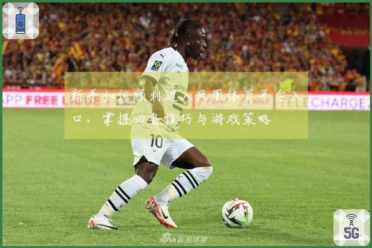 新手如何顺利进入凤凰体育平台入口，掌握必备技巧与游戏策略